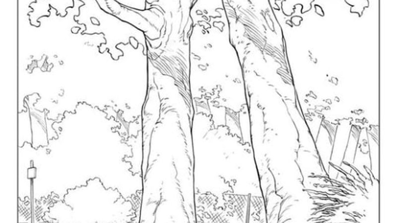 牙胶尖规格型号，如何选择最适合的材料？**